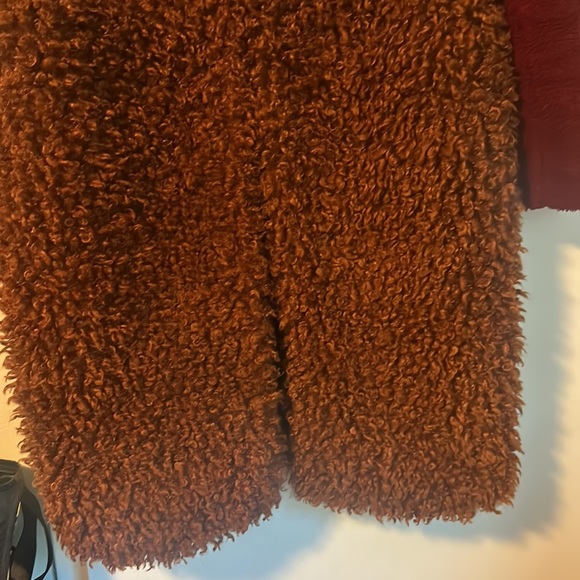 Endless Rose Colorblock Coat - Picture 2 of 10